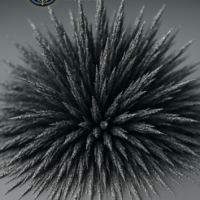 Structure Paper Cover, Front Accelerated Structure